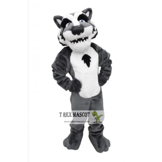 Reyburn Timberwolf Mascot Costume