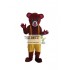 Bear Mascot Costume