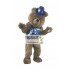 Dancing Bear Mascot Costume