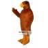 Golden Hawk Mascot Costume