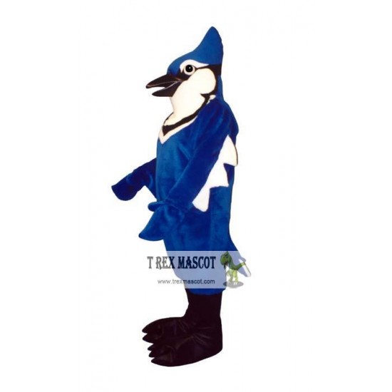 Jennie Blue Jay Mascot Costume