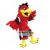 Red Eagle Mascot Costume