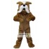 Brown Bulldog Mascot Costumes