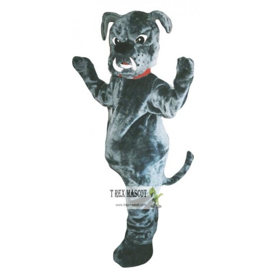 Bull Dog Mascot Costume Adult Costume