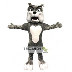 Professional Quality Bulldog Mascot Costume