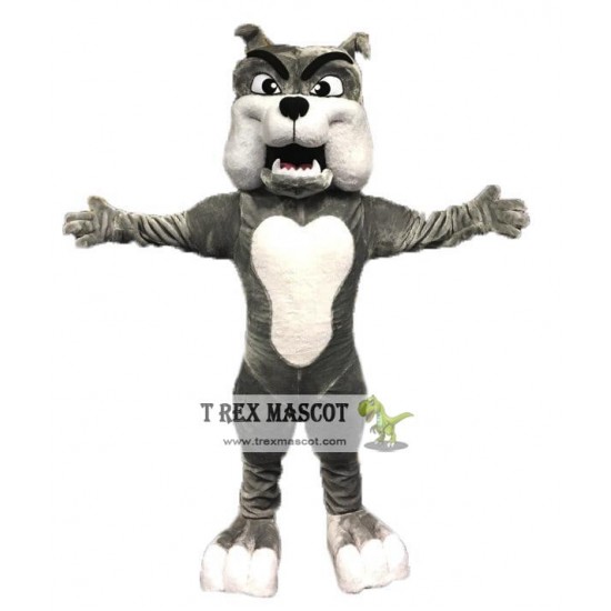 Professional Quality Bulldog Mascot Costume