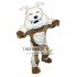 Greenstone Bulldog Mascot Costume