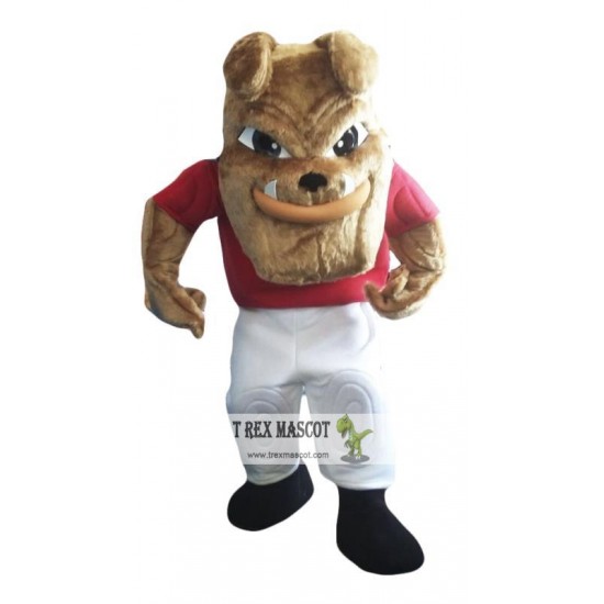 Bulldog Mascot Costume Adult Costume