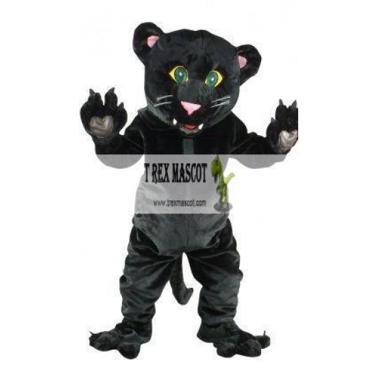 Black Panther Mascot Costume