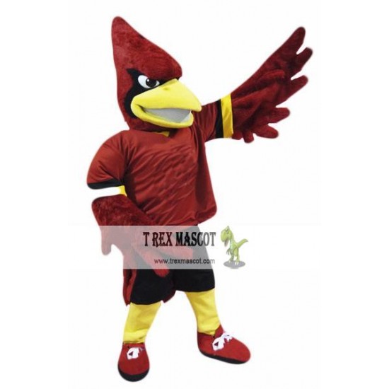 College Cardinal Mascot Costume