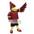 College Cardinal Mascot Costume