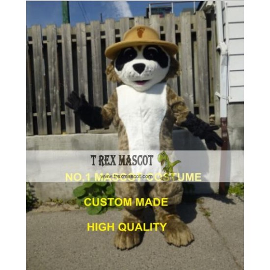 Ranger Rick Racoon Mascot Costume Hot Cartoon