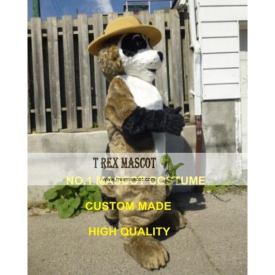 Ranger Rick Racoon Mascot Costume Hot Cartoon