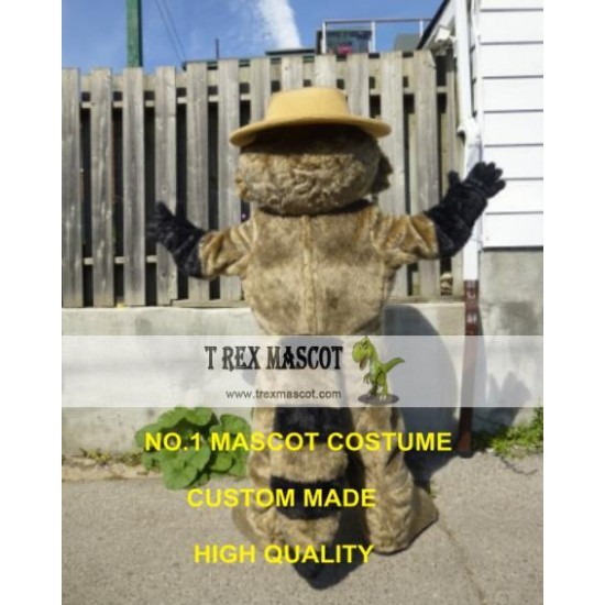 Ranger Rick Racoon Mascot Costume Hot Cartoon