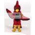 Ranger Hawk Mascot Costume