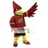 Red Cardinal Mascot Costume