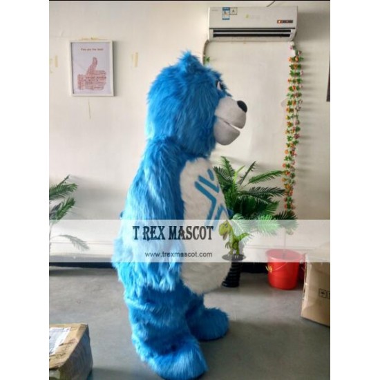 Actual Picture Blue Bear Mascot Costumes