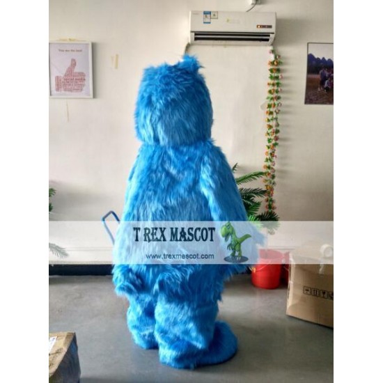 Actual Picture Blue Bear Mascot Costumes