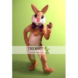 Professional Easter Bunny Mascot Costume