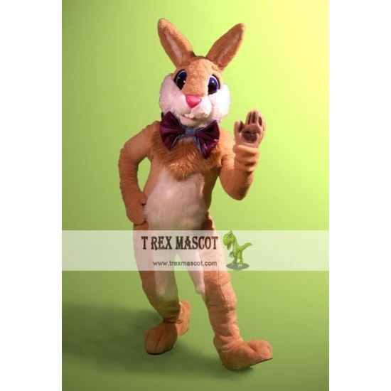 Professional Easter Bunny Mascot Costume