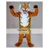 Tiger Mascot Costume for Adults