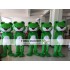 Frog Mascot Costume for Adult