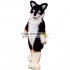 Furry Dog Fox Husky Adult Mascot Costumes