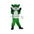 Green Raccoon Mascot Costumes