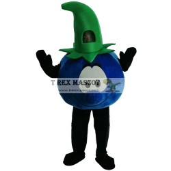 Mr Blueberries Mascot Costumes