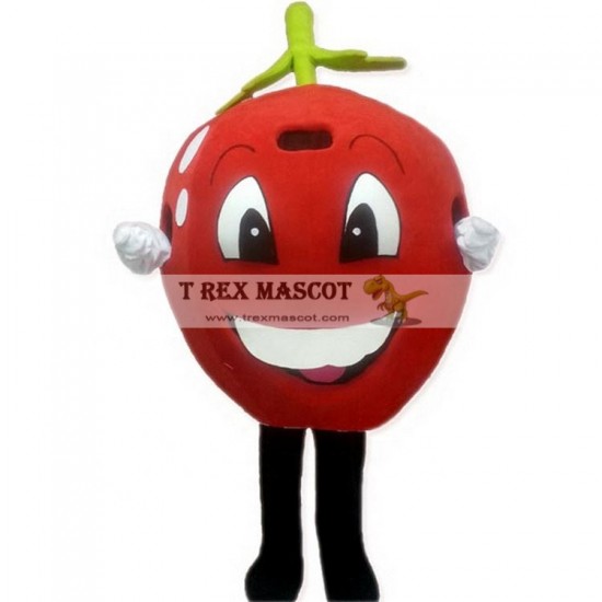 Red Apple Mascot Costumes