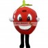 Red Apple Mascot Costumes