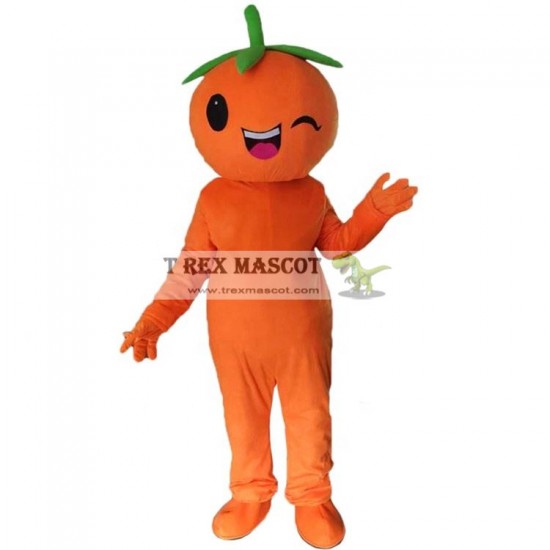 Man Girl Orange Mascot Costumes