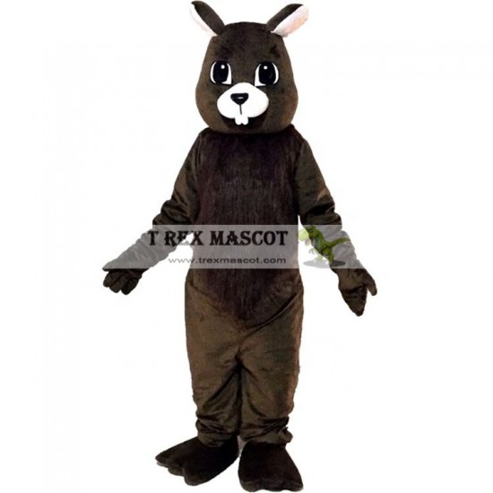 Brown Squirrel Mascot Costumes