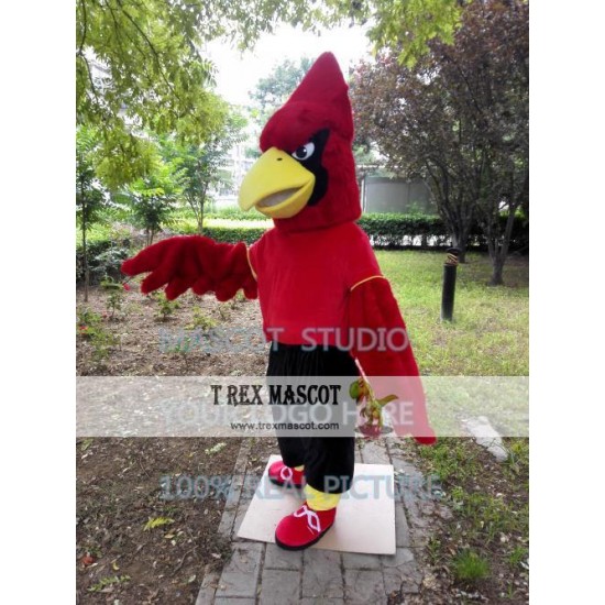 Red Jay Mascot Costume Red Eagle Plush Mascot