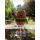 Hamburger Mascot Burger Costume