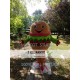 Hamburger Mascot Burger Costume