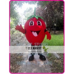 Strawberry Mascot Costume Fruit