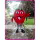 Strawberry Mascot Costume Fruit