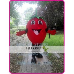 Strawberry Mascot Costume Fruit