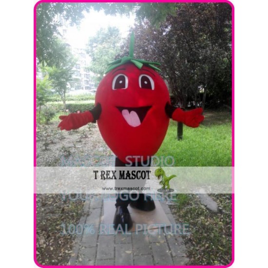 Strawberry Mascot Costume Fruit