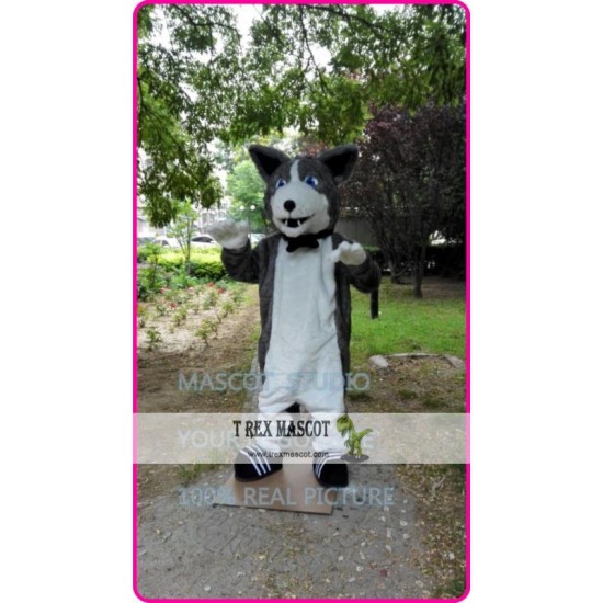 Husky Dog Mascot Costume