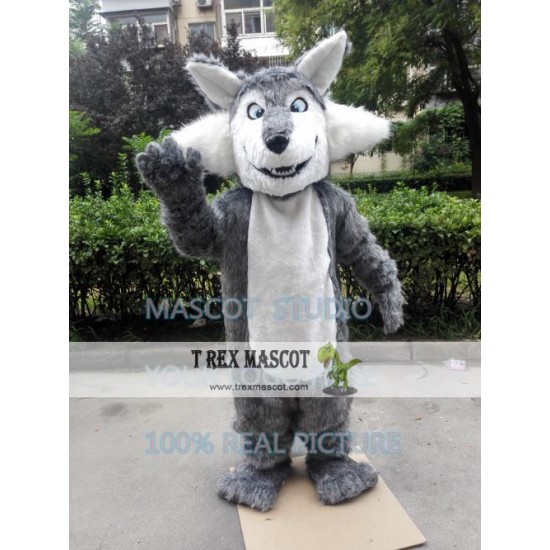 Big Grey Wolf Mascot Costume