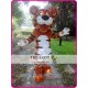 Cartoon Tiger Mascot Costume Cat