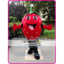 Strawberry Mascot Costume Fruit