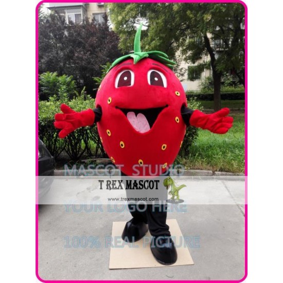 Strawberry Mascot Costume Fruit