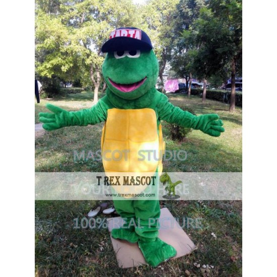 Green Turtle Mascot Costume