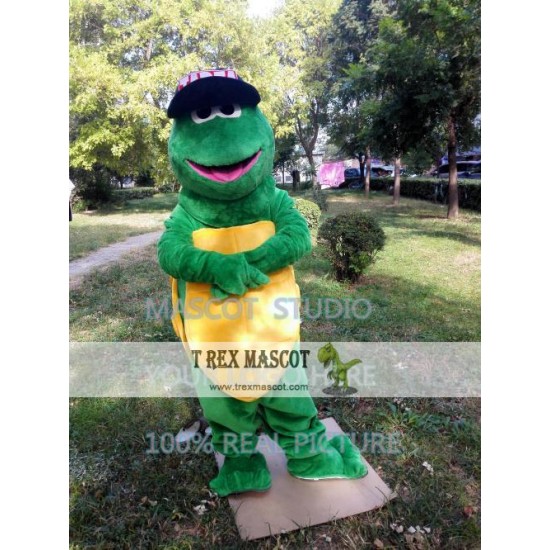 Green Turtle Mascot Costume