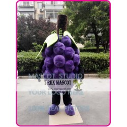 Grape Mascot Costume Fruit