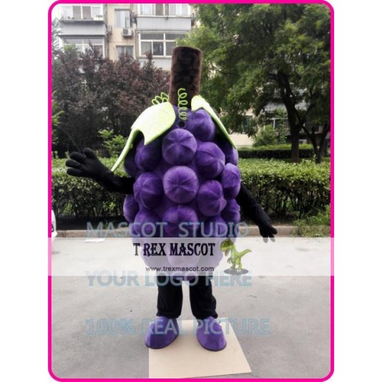 Grape Mascot Costume Fruit