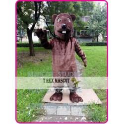 Mascot Beaver Sinocastor Castor Mascot Costume